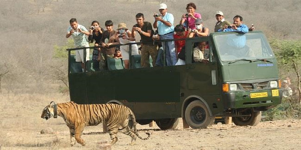 Dhikala Canter Safari